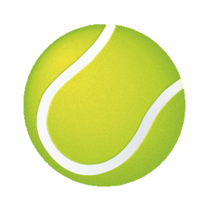 Система тестирования главных судей